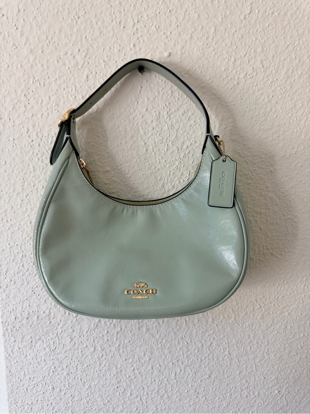 COACH small shoulder purse in color Pistachio.